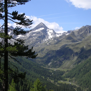 Blick auf die Gl&ouml;dis im Debanttal c NPHT Thomas Steiner