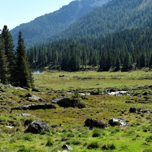 Talsohle im Debanttal c NPHT Martin Kurzthaler