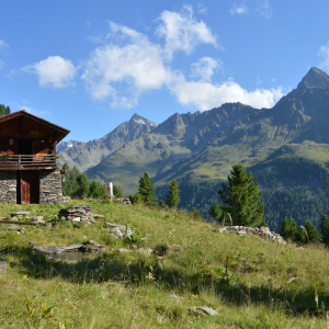 Die Trebelitschalm im Debanttal c NPHT Asslaber