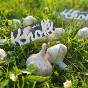 c Mietschnig_Stampferhof