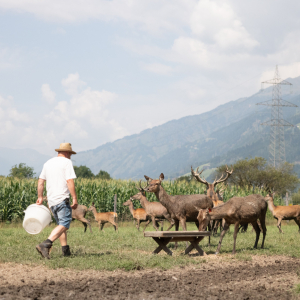C Nationalpark Hohe Tauern_Elias Bachmann