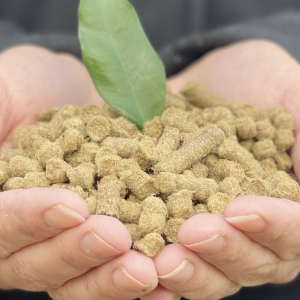 Schafwollpellets c ecolets