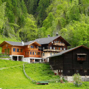 Blick auf Archehof c privat