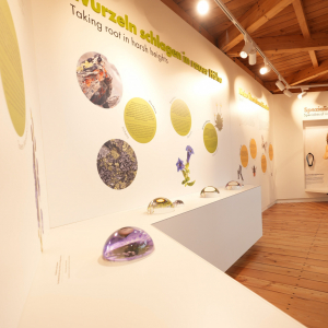 Mit der Er&ouml;ffnung der neuen Ausstellung &bdquo;Zwischen Fels und Himmel. Leben &uuml;ber der Waldgrenze&ldquo; erweitert der Nationalpark Hohe Tauern sein Ausstellungsangebot im Nationalpark Kristall auf der Kaiser-Franz-Josefs-H&ouml;he.