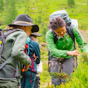 Natur entdecken, Abenteuer erleben und Ranger:innen-Wissen sammeln: 15 Jugendliche tauchten zwei Wochen lang in den Nationalpark Hohe Tauern ein und meisterten gemeinsam spannende Herausforderungen.
